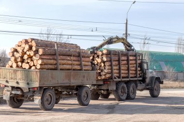 Zhitomir, Ukrayna - 10 Şubat 2016: Kamyon kereste - tüm tedavi edilmezse çam ahşap, yasal yol taşımaktadır. Yasal günlüğü. Çam günlükleri installed ne zaman devlet vergi ödeme fişleri ile