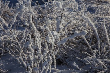 Güzel kış manzara sahne arka plan zekâ kar ağaçlar ve buz nehir kaplı. Güzellik güneşli kış zemin. Harikalar. Snowy orman ayaz ağaçlarda. Sakin kış doğa güneş ışığı altında