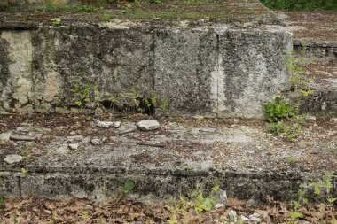 Bulgaristan, Dobruansk, 2017 - anıt Romanya Komünist, devrimci Dimitar Donchev için terk etti. terk edilmiş topluluk Sovyetler anıt, Varşova Paktı dönemdir