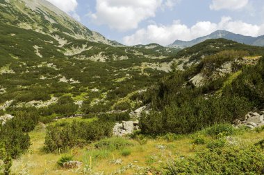 Doğal dağ manzarası. Pirin Mountains, Bulgaristan. Yaz dağ manzaralı bir albüm, takvim, posta kartı için