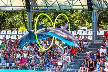 Odessa, Ukrayna - ö. 10 Haziran 2013: Yunuslar dolphinarium ful ziyaretçi ile yaratıcı eğlenceli göstermek üstünde göstermek inanılmaz hileler. seyirciler mutlu 10 Haziran 2013 odessa, Ukrayna memnun.