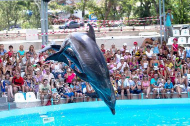Odessa, Ukrayna - ö. 10 Haziran 2013: Yunuslar dolphinarium ful ziyaretçi ile yaratıcı eğlenceli göstermek üstünde göstermek inanılmaz hileler. seyirciler mutlu 10 Haziran 2013 odessa, Ukrayna memnun.