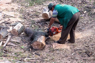 Odessa, Ukrayna - 31 Temmuz 2014: İşçi logger kuru ölü ağaç üzerinden şehir kareler saf. Erkeklerde kırpılmış tulum şube ve ağaç gövdesi Chainsaw 31 Temmuz 2014 Odessa, Ukrayna.