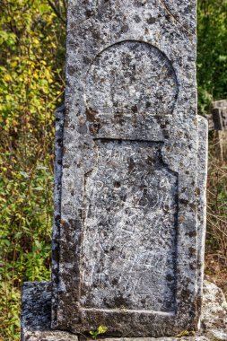 Halı mor papatya çiçekler arka plan, odak seçici odak. Tasarım kartı için çiçek arka plan