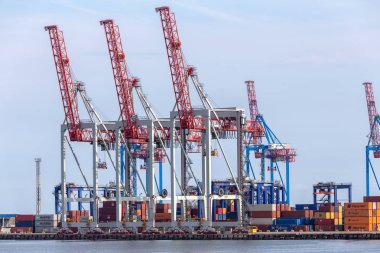 Odessa, Ukrayna - 6 Ekim 2015: Konteyner Vinç konteyner terminal kargo limanında, kargo vinçler olmadan işe bir boş bağlantı noktası limanda. Kriz. Öndeğer olarak devletin tüm ekonomi felç