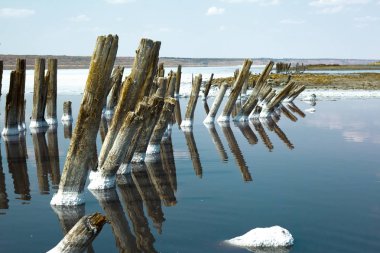 güzel manzara trajik ölü deniz tuzu Ukrayna üzerinde kurutma