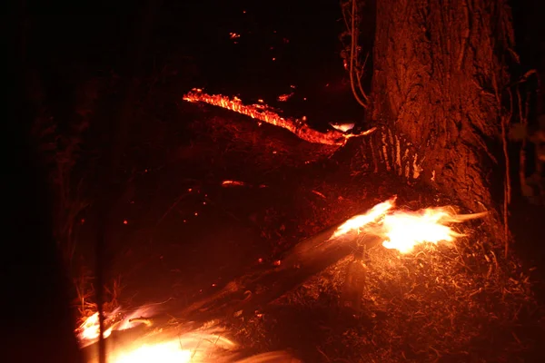 Incendio Forestale Albero Caduto Bruciato Sul Terreno Molto Fumo Quando — Foto Stock