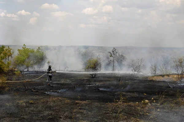 Odessa Ukraina Augusti 2012 Svår Torka Avfyrar Förstör Skogen Och — Stockfoto