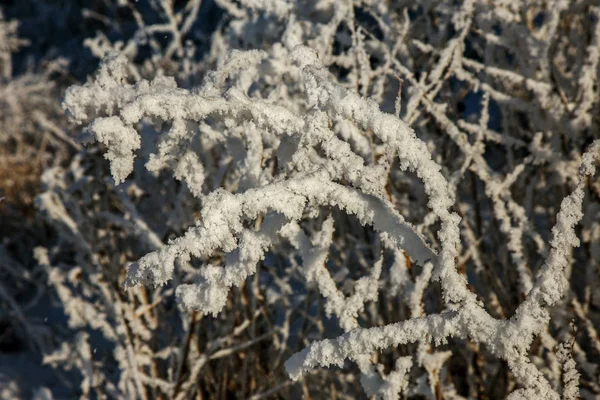 Schöne Winterlandschaft Szene Hintergrund Mit Schneebedeckten Bäumen Und Eis Fluss — Stockfoto