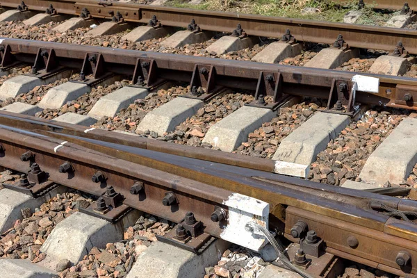 Railroad Tracks Tuin Van Het Station — Stockfoto