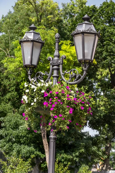 Vintage street lamp is beautifully decorated with vases of fresh flowers in the historic heart of the city. Summer sunny day. Background for floral design