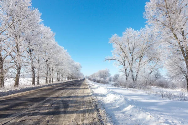 Camino Invierno Cubierto Nieve Árboles Escarcha Nieve Lado Carretera Cubierta —  Fotos de Stock