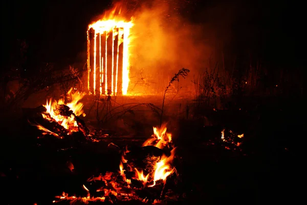 Erdőtűz Kidőlt Fát Égetett Föld Sok Füst Amikor Vildfire Tűz — Stock Fotó