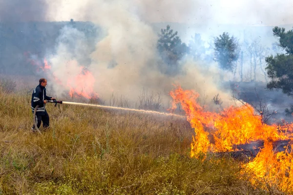 Odessa Ucrania Agosto 2012 Grave Sequía Los Incendios Destruyen Bosque — Foto de Stock
