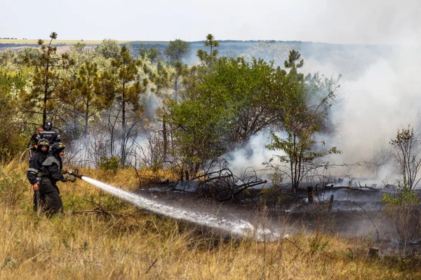 Одесса Украина Августа 2012 Сильная Засуха Пожары Уничтожают Лес Степь — стоковое фото