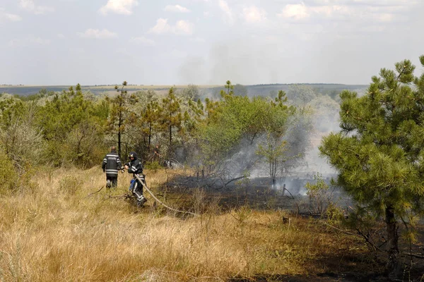 Οδησσός Ουκρανία Αυγούστου 2012 Σοβαρή Ξηρασία Πυρκαγιές Καταστρέφουν Δάσος Και — Φωτογραφία Αρχείου