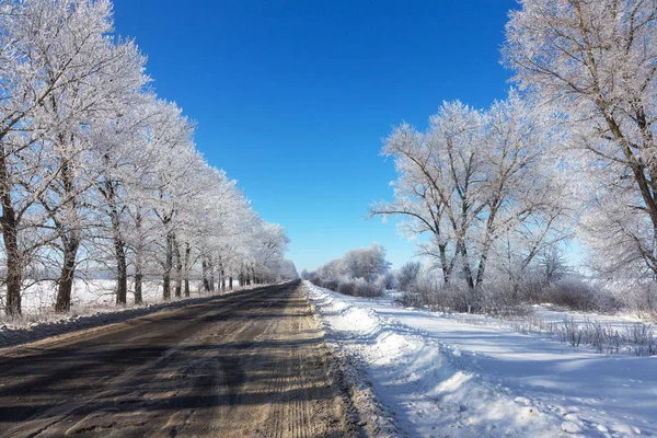 Strada Invernale Innevata Alberi Gelo Neve Sul Ciglio Della Strada — Foto Stock