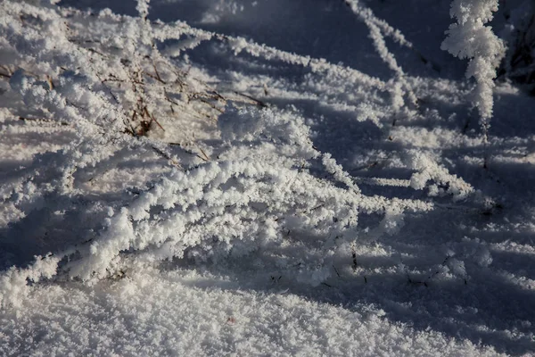 Schöne Winterlandschaft Szene Hintergrund Mit Schneebedeckten Bäumen Und Eis Fluss — Stockfoto