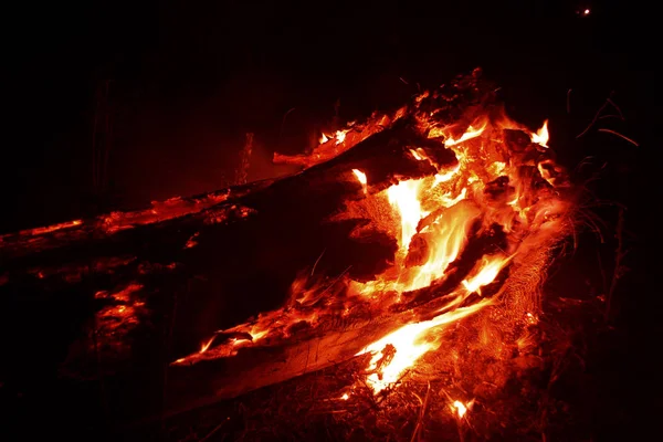 Fogo Florestal Árvore Caída Queimada Chão Lote Fumaça Quando Vildfire — Fotografia de Stock