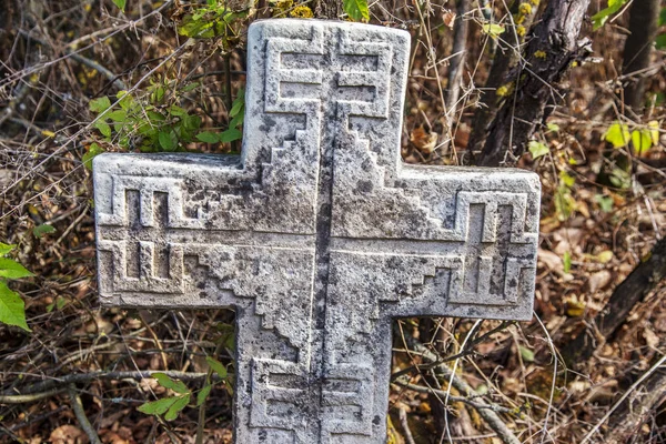 Χαλί Μωβ Χρυσάνθεμο Λουλούδια Φόντο Επιλεκτική Εστίαση Στην Εστίαση Floral — Φωτογραφία Αρχείου