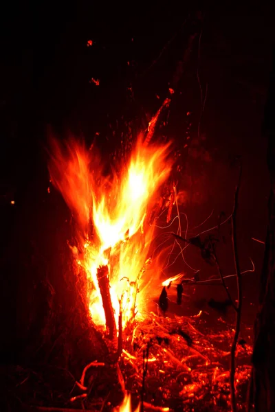 Incendio Forestale Albero Caduto Bruciato Sul Terreno Molto Fumo Quando — Foto Stock