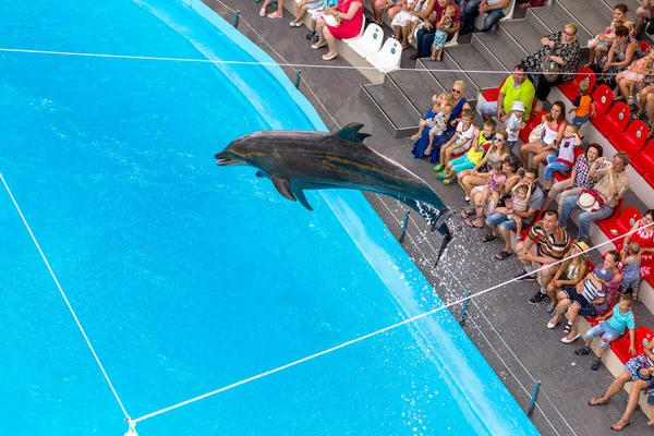 Odessa Ukraine Julho 2014 Golfinhos Espetáculo Entretenimento Criativo Dolphinarium Houseful — Fotografia de Stock