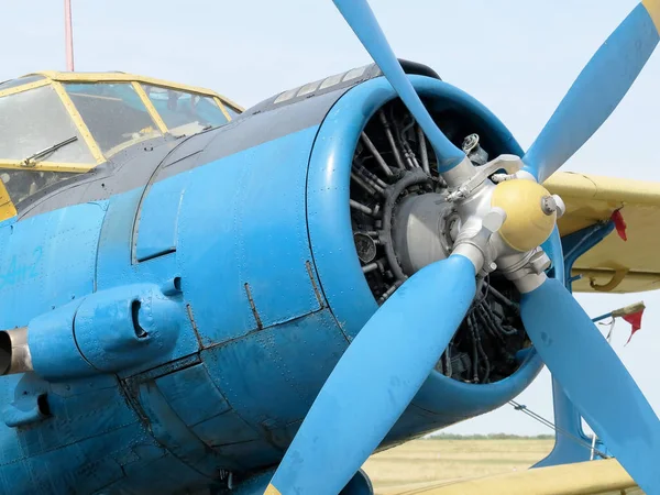 Odessa Ukraine Juli 2011 Junge Single Sportflugzeuge Stehen Auf Dem — Stockfoto