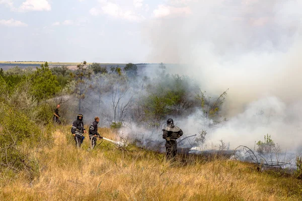 Odessa Ukraine August 2012 Severe Drought Fires Destroy Forest Steppe — Stock Photo, Image