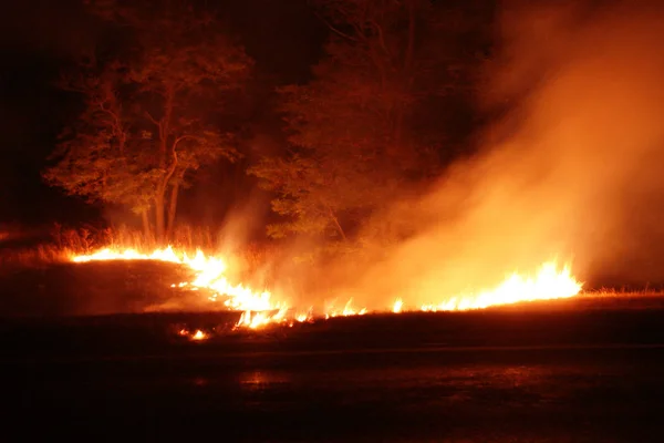 Fogo Florestal Árvore Caída Queimada Chão Lote Fumaça Quando Vildfire — Fotografia de Stock