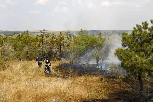 Odessa Ukraina Sierpień 2012 Suszą Odpalam Zniszczenia Lasów Stepów Strażacy — Zdjęcie stockowe