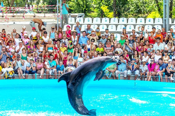 Odessa Ucrania Junio 2013 Delfines Espectáculo Entretenimiento Creativo Delfinario Con —  Fotos de Stock