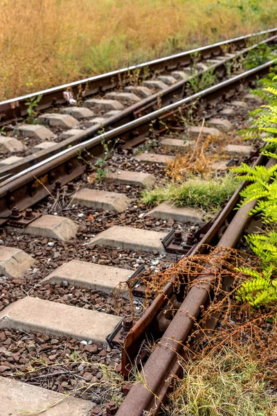 Ferrocarril Unión Nodal Ferrocarriles Ucrania Infraestructura Transporte Ferroviario Reducción Carga — Foto de Stock