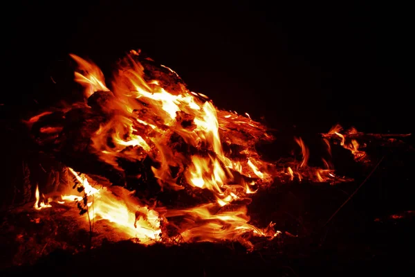 화재입니다 주차장에 Vildfire 화재는 출발만 나무와 애쉬를 파괴합니다 불타는 재해입니다 — 스톡 사진