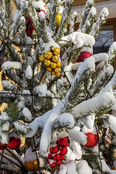 Χριστουγεννιάτικα Στολίδια Χρωματιστές Μπάλες Στα Έλατα Κλαδιά Καλυμμένα Χιόνι Μετά — Φωτογραφία Αρχείου