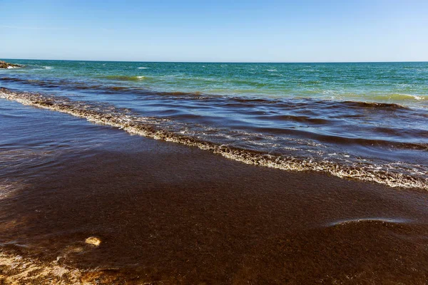 Die Schmutzige Meereswelle Nagelte Alte Schmutzige Algen Ans Ufer Schmutzig — Stockfoto