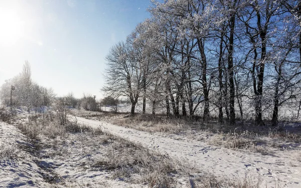 Snow Covered Winter Road Trees Frost Snow Side Snow Covered — Stock Photo, Image