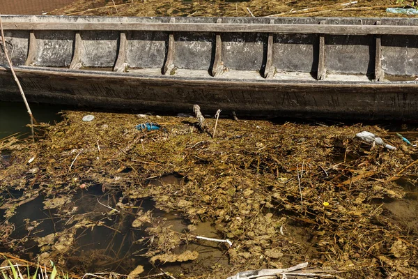 Nagy Mennyiségű Törmelék Piszkos Szennyvíz Algák Gyors Növekedése Miatt Vízszennyezés — Stock Fotó