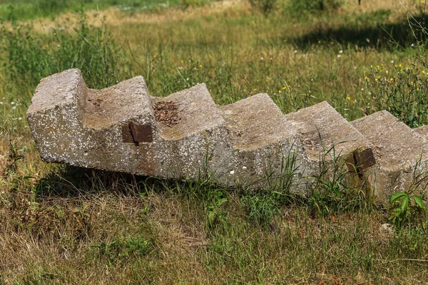 Terk Edilmiş Eski Gereksiz Beton Merdivenin Yalnız Otların Arasında Yatıyor — Stok fotoğraf