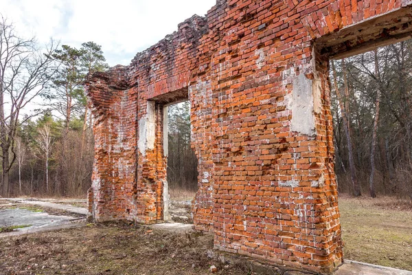 Rovine Antico Castello Tereshchenko Proprietario Terriero Zhitomir Ucraina Bellissimo Vecchio — Foto Stock