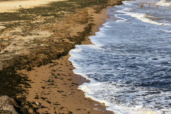 Vague Mer Sale Est Cloué Vieilles Algues Sales Lignes Algues — Photo