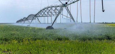 Tarımsal sulama yağmurlama sistemi parlak güneşli yaz gününde işlenmiş tarım alanında işleminde otomatik