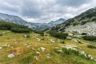 Doğal dağ manzarası. Pirin Mountains, Bulgaristan. Yaz dağ manzaralı bir albüm, takvim, postcar için