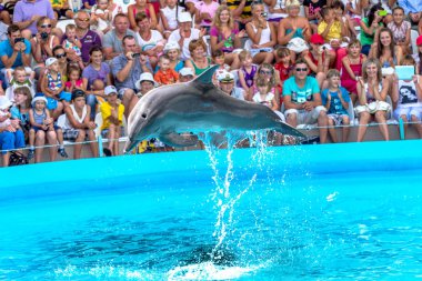 Odessa, Ukrayna - ö. 10 Haziran 2013: Yunuslar dolphinarium ful ziyaretçi ile yaratıcı eğlenceli göstermek üstünde göstermek inanılmaz hileler. seyirciler mutlu 10 Haziran 2013 odessa, Ukrayna memnun.