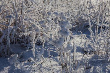 Güzel kış manzara sahne arka plan zekâ kar ağaçlar ve buz nehir kaplı. Güzellik güneşli kış zemin. Harikalar. Snowy orman ayaz ağaçlarda. Sakin kış doğa güneş ışığı altında