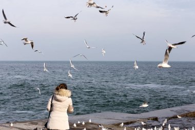 İnsanları martılar deniz kıyısında bir sürü kışın beslemek. Denize yakın çekim üzerinde bir sürü deniz martı. Martılar denize kış sahilde. Martılar uçuş gıda insanların elinden yakalamak