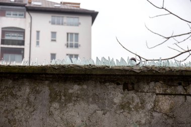 Eski özel çit, keskin cam ile çivili. Koruyucu çit nesnesinin. Koruyucu cam Çıtçıt parçalanmak ile eskrim. Kırık cam korumalı çevre ihlal edenlere karşı koruma