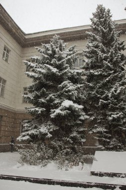 Kışın şehir sokaklarını güçlü kar yağışı. Araba kar, kaygan yol ile kaplıdır. Kışın kötü hava: şiddetli kar yağışı ve blizzard. Yayalar şiddetli kar yağışı altında gidin. Kış ve kar fırtınası, kar yağışı