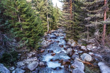 Parlak, zıt bir dağ manzarası. Dağ nehri dağ kayalarının arasından hızla akar, şelaleler oluşur ve bir sürü sprey püskürtülür. Balkan Dağları, Bulgaristan, Avrupa