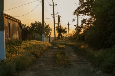 man walks along country road in fall in sunset. man walking along road, backlit at sunset, amid rural landscape of Ukrainian village. Beautiful meditative rural landscape at sunset of day