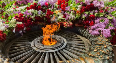 Anavatan düşmüş savunucuları ateş etrafında çiçekli Eternal Flame bilinmeyen denizci anısına anıt. 